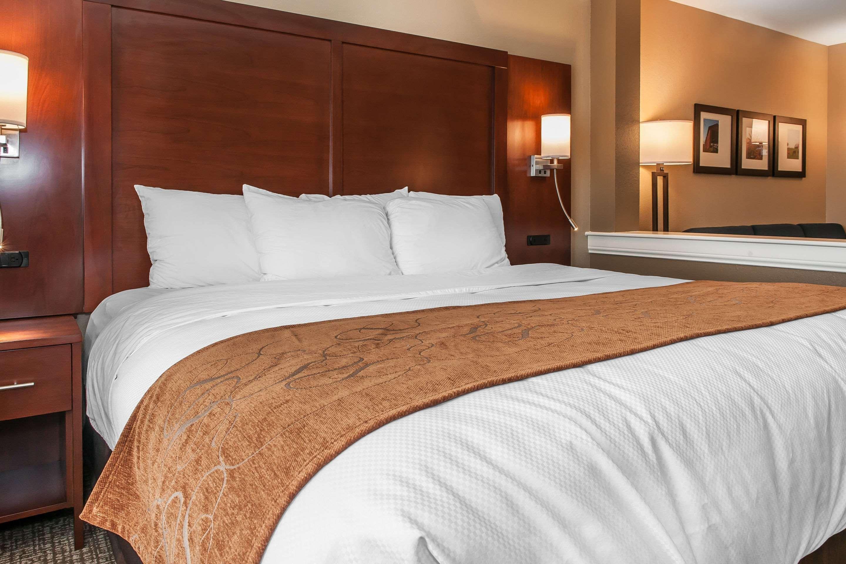 Comfort Suites Rensselaer Near Fair Oaks Экстерьер фото